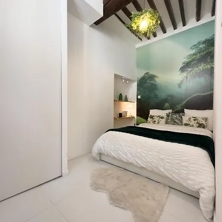 Le Cosy Safranier Vieil Apartment