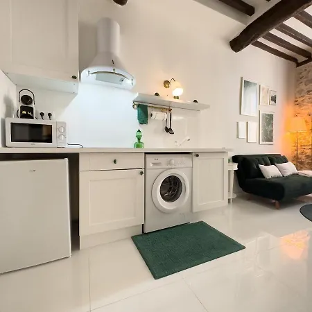 Le Cosy Safranier Vieil Apartment