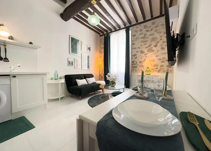 Le Cosy Safranier Vieil * Antibes