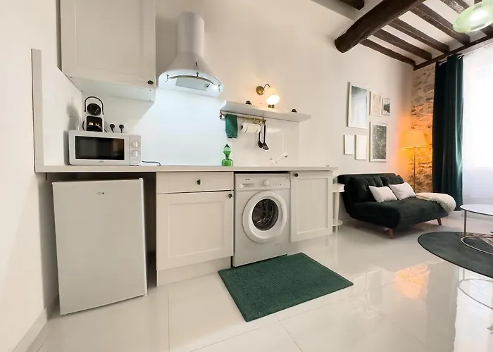 Le Cosy Safranier Vieil Apartamento